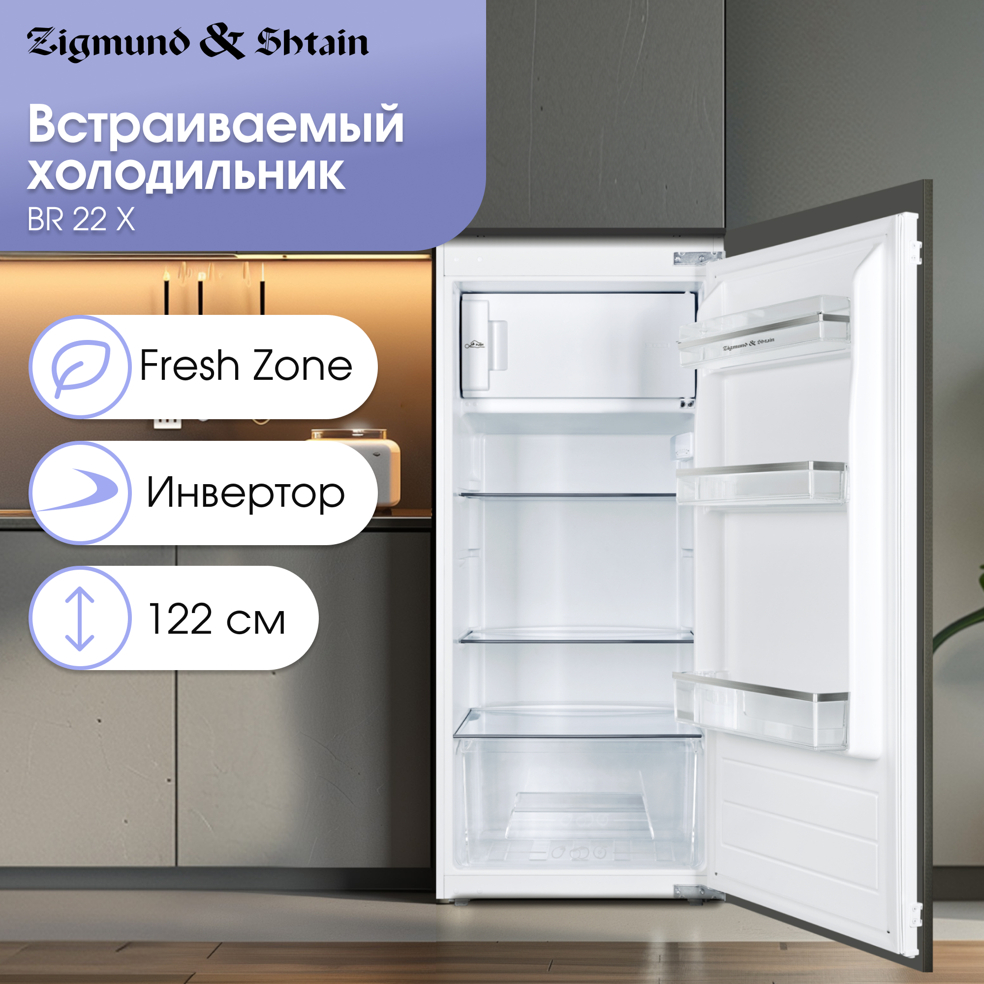Zigmund & Shtain BR 22 X